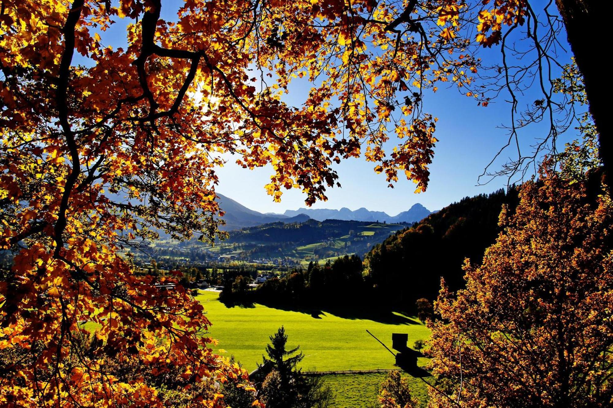 Ferienwohnung Pyhrgasblick Rosenau am Hengstpass 외부 사진